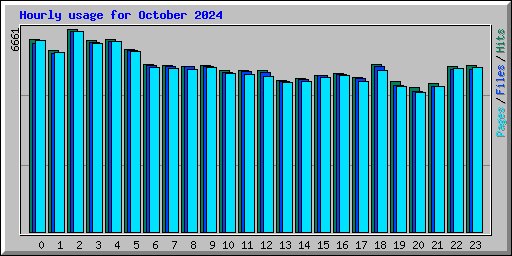 Hourly usage for October 2024